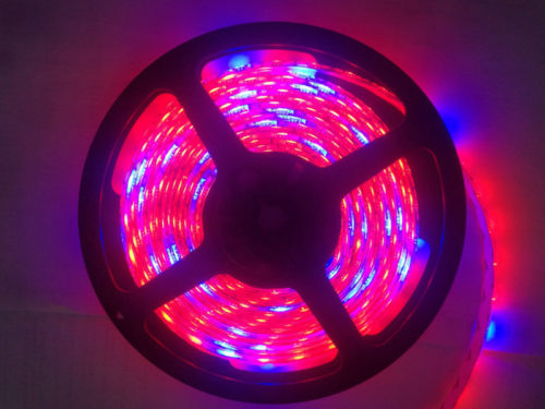 led strip light for plant growing smd5050 red blue